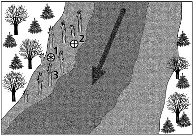 Ловим со льда. Все секреты зимней рыбалки - i_037.jpg