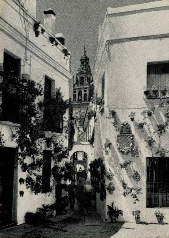 Кордова, Гранада, Севилья – древние центры Андалусии - pic_3.jpg