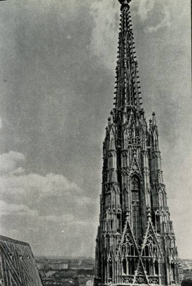 Вена - pic_12.jpg