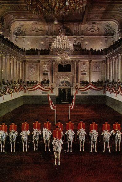 Вена - pic_41.jpg