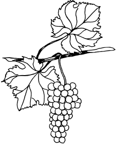 Виноград. Секреты сверхурожая - _02.png