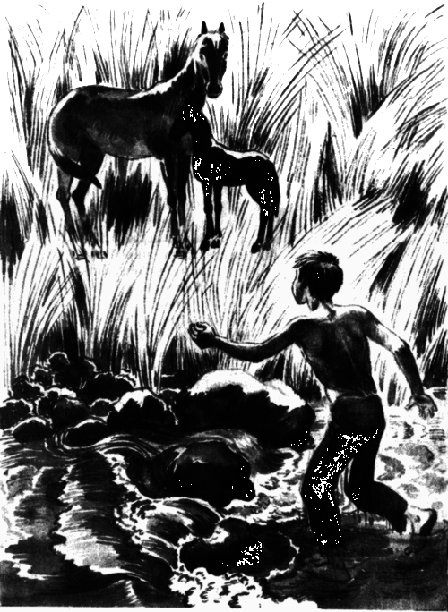 Последний коршун - i_016.png