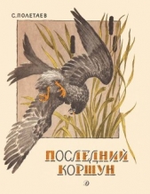 Последний коршун - автор Полетаев Самуил Ефимович 