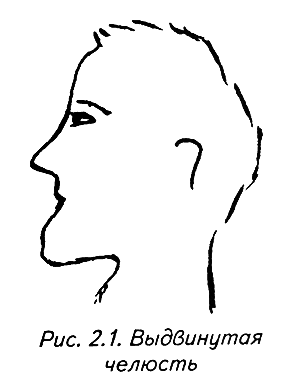 История лица. Мастерская физиогномического психоанализа - i_007.png