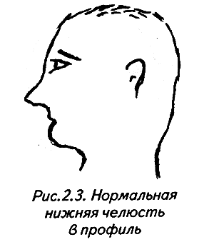 История лица. Мастерская физиогномического психоанализа - i_009.png