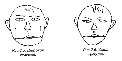 История лица. Мастерская физиогномического психоанализа - i_011.png