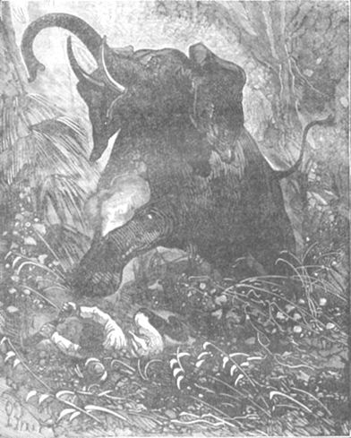 Похитители бриллиантов (др. изд.) - i_007.jpg