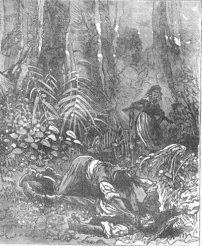 Похитители бриллиантов (др. изд.) - i_049.jpg