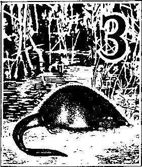 На речных берегах - image010.png