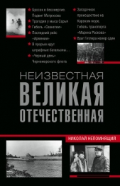 Неизвестная Великая Отечественная - автор Непомнящий Николай Николаевич 
