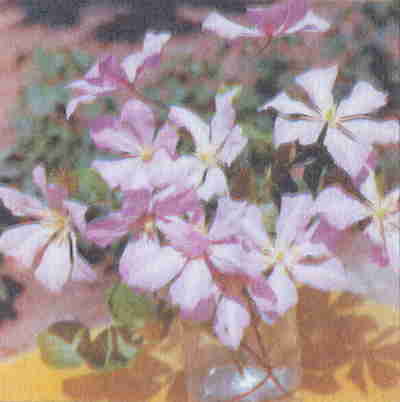 Клематисы - _163beh.jpg