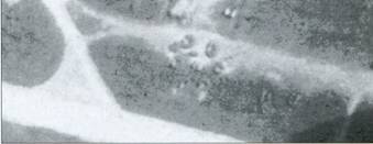 История Авиации 2004 02 - pic_34.jpg