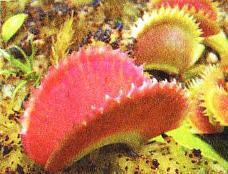 Юный техник, 2013 № 02 - _15.jpg