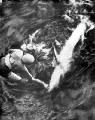 Дельфины - _21.jpg