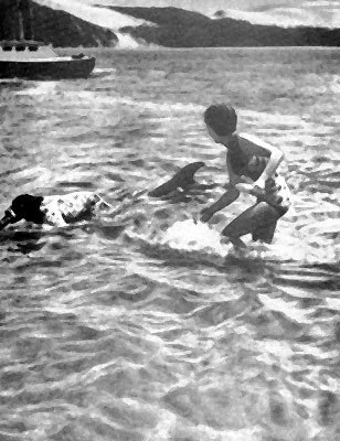 Дельфины - _22.jpg