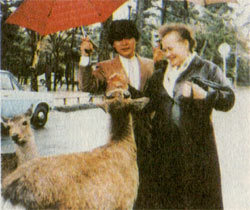 Со скоростью 