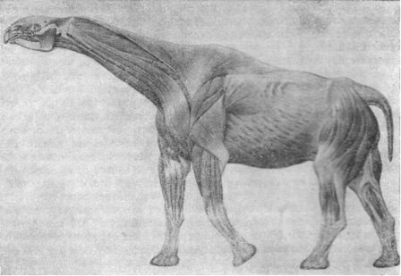 Борис Александрович Трофимов - _18.jpg