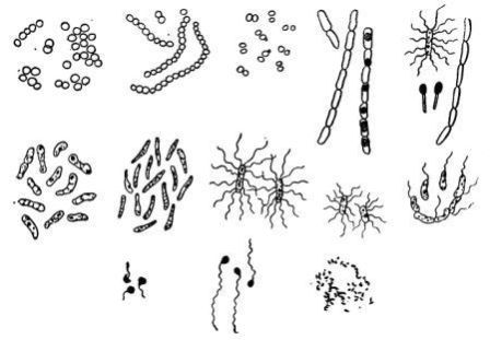 Борис Александрович Трофимов - _23.jpg