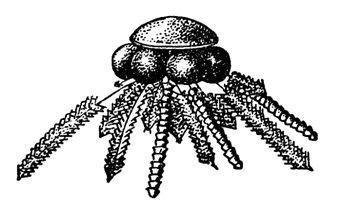 Борис Александрович Трофимов - _36.jpg