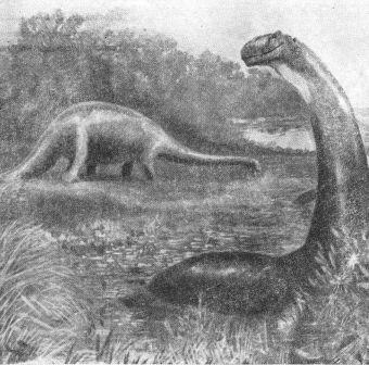 Борис Александрович Трофимов - _73.jpg