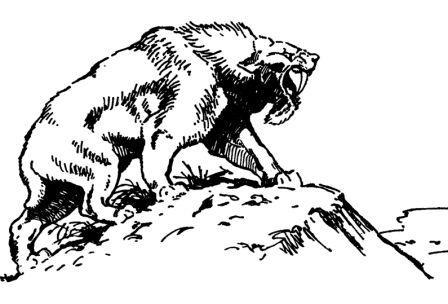 Борис Александрович Трофимов - _84.jpg