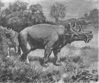 Борис Александрович Трофимов - _89.jpg