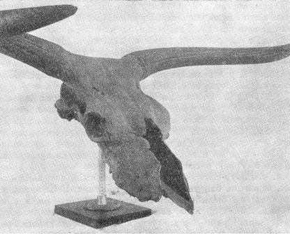 Борис Александрович Трофимов - _116.jpg