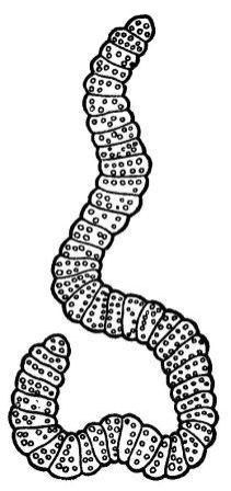 Борис Александрович Трофимов - _24.jpg