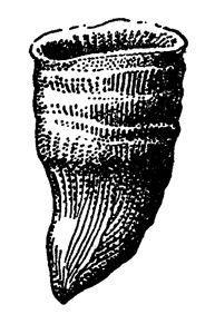 Борис Александрович Трофимов - _34.jpg