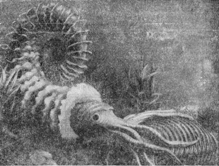 Борис Александрович Трофимов - _37.jpg