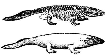 Борис Александрович Трофимов - _47.jpg