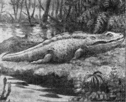 Борис Александрович Трофимов - _48.jpg