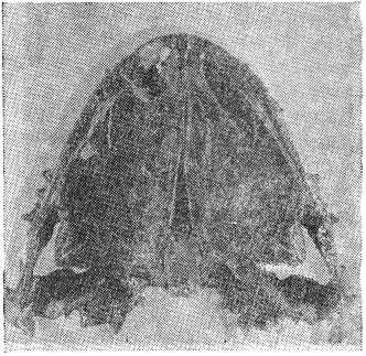 Борис Александрович Трофимов - _52.jpg