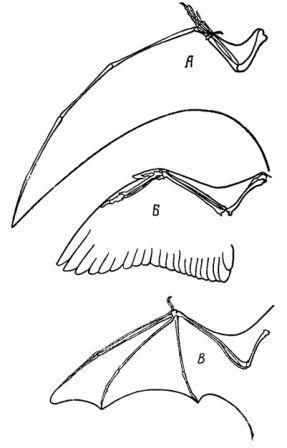 Борис Александрович Трофимов - _63.jpg