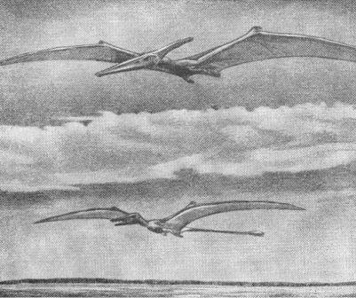 Борис Александрович Трофимов - _64.jpg