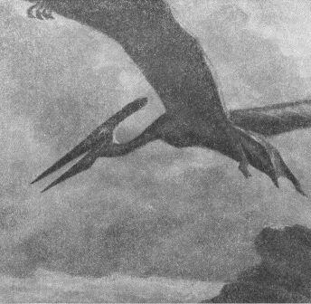 Борис Александрович Трофимов - _65.jpg