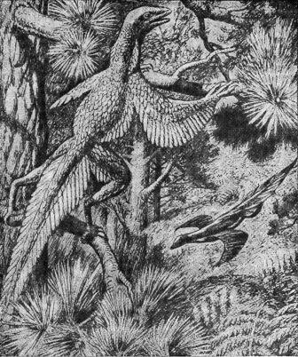 Борис Александрович Трофимов - _67.jpg