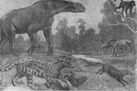 Борис Александрович Трофимов - _91.jpg