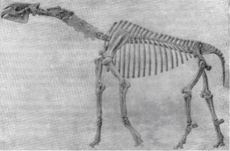 Борис Александрович Трофимов - _16.jpg