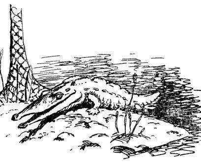 Борис Александрович Трофимов - _41.jpg