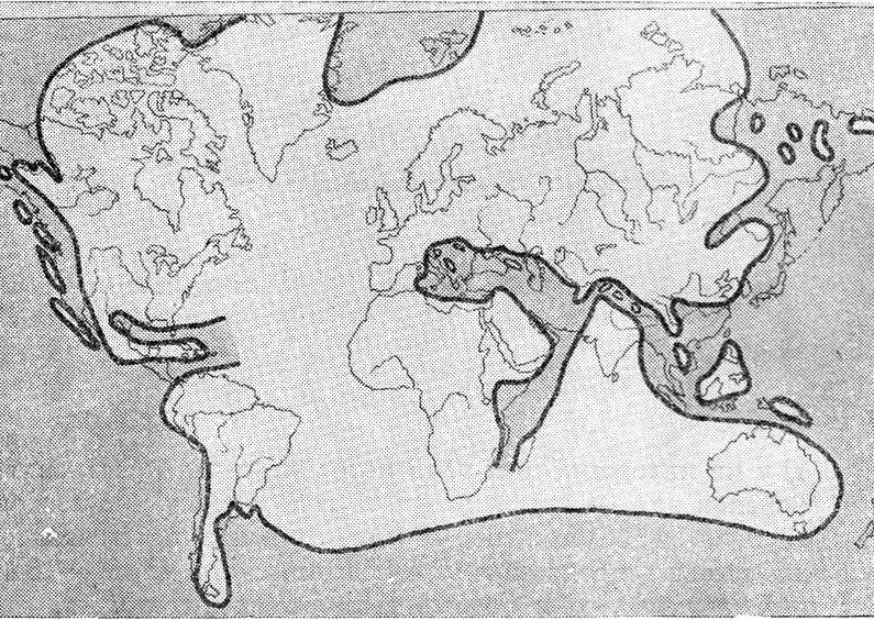 Борис Александрович Трофимов - _58.jpg