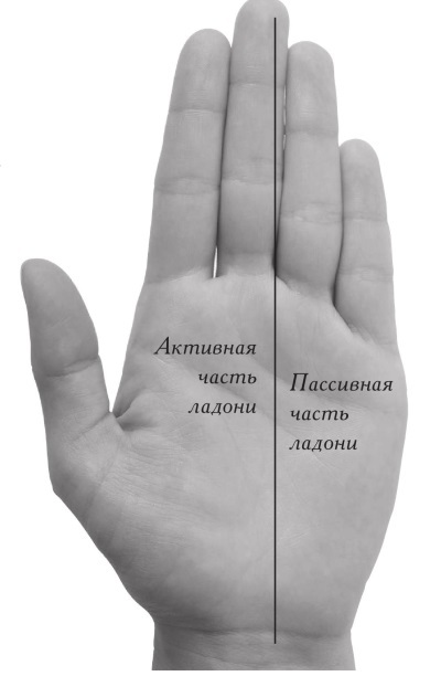 Энциклопедия хиромантии: Ваша судьба как на ладони - i_006.jpg