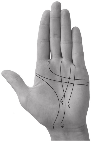 Энциклопедия хиромантии: Ваша судьба как на ладони - i_009.jpg