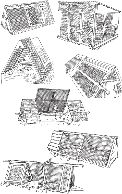 Полный справочник птицевода - _35.png