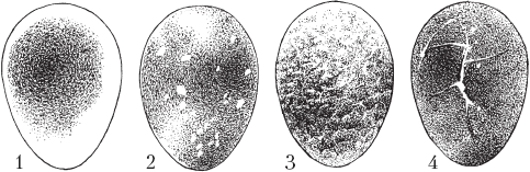 Полный справочник птицевода - _50.png