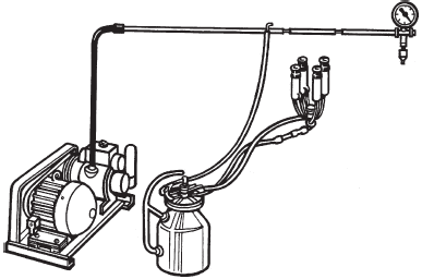 Полный справочник животновода - _29.jpg