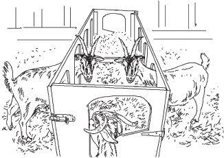 Полный справочник животновода - _40.jpg