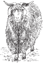 Полный справочник животновода - _41.jpg