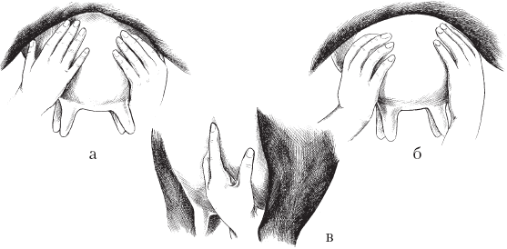 Полный справочник животновода - _26.jpg