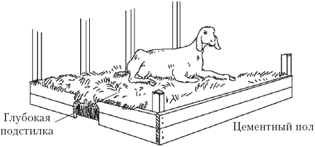 Полный справочник животновода - _37.jpg